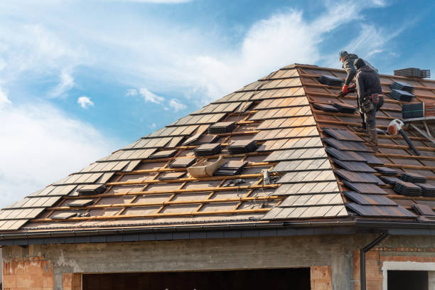 Best Metal Roofing Installation  in Boles Acres, NM